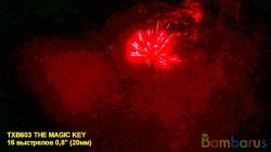 TXB603 THE MAGIC KEY | фото №0