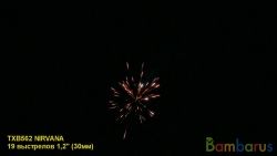 TXB562 NIRVANA | фото №0