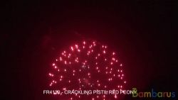 fr4130 CRACKLING PISTIL RED PEONY | фото №0