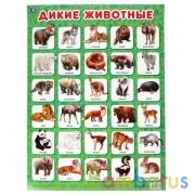 Дикие животные. Плакат А2. Умка в кор.50шт | фото №0