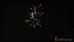 МБ-0162 16 | фото №0