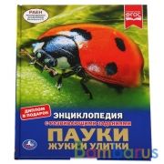 "УМКА". ПАУКИ, ЖУКИ, УЛИТКИ (ЭНЦИКЛОПЕДИЯ А4). ТВЕРДЫЙ ПЕРЕПЛЕТ. БУМАГА МЕЛОВАННАЯ 130Г в кор.15шт | фото №0