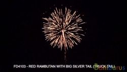 FD4103 RED RAMBUTAN WITH BIG SILVER TAIL 4 в уп | фото №0