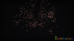 КБ-0193 Посейдон | фото №0