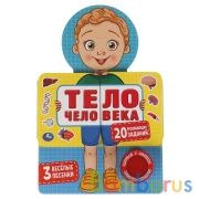 Тело человека (звук. модуль, распашные страницы) 140х210мм 10стр Умка в кор.30шт | фото №0