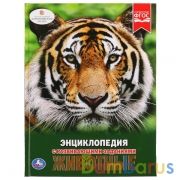 Животные. (Энциклопедия А4 с развивающими заданиями). Формат: 197х255 мм. 48 стр. Умка в кор.15шт | фото №0