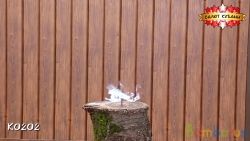 K0202 Фитиль (уп-20 шт) (1/500) (NEW) | фото №0