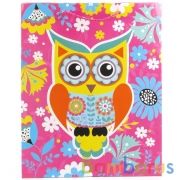 ПАКЕТ ПОДАРОЧНЫЙ "ИГРАЕМ ВМЕСТЕ" СОВЫ, 26Х32Х14СМ, ГЛЯНЦЕВЫЙ В ПАК. УП-12ШТ в кор.6уп | фото №0