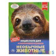 Необычные животные. (Энциклопедия А4 с развивающими заданиями). 197х255мм. 48 стр. Умка в кор.15шт | фото №0