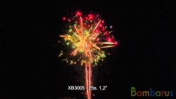 XB3005 FINAL CAKE 2 | фото №0