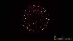 fr4037 COLOR CHRYS W/ SILVER TAIL | фото №0