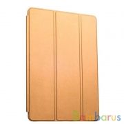 Чехол Gurdini для Apple iPad 10.2 (2019) с отделением для Apple Pencil (Золотой) | фото №0