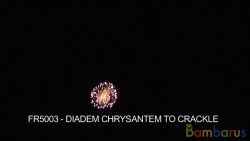 fr5003 DIADEM CHRYSANTHEM TO CRACKLE | фото №0