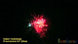 TXB827 PANORAMA(27/1) | фото №0