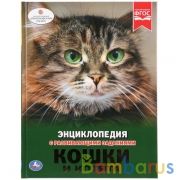 Кошки и котята. (Энциклопедия А4 с развивающими заданиями). 197х255 мм. 48 стр. Умка в кор.15шт | фото №0