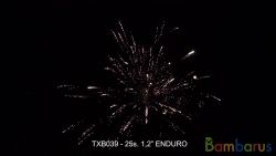 TXB039 ENDURO | фото №0