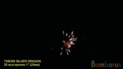 TXB389 SILVER DRAGON | фото №0