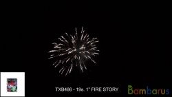 TXB466 FIRE STORY | фото №0