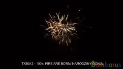 TXB012 FIRE ARE BORN | фото №0