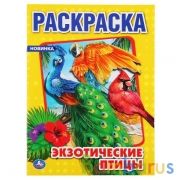 Экзотические птицы. (Раскраска А4). Формат: 214х290 мм. Объем: 16 стр  Умка в кор.50шт | фото №0