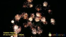 TXB666 FRIDAY(4/1) | фото №0