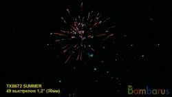 TXB672 SUMMER | фото №0