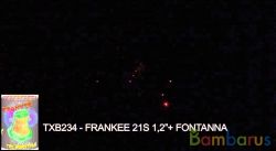 TXB234 (2/1) FRANKEE | фото №0