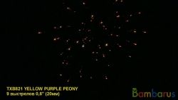 TXB821 YELLOW/PURPLE PEONY | фото №0