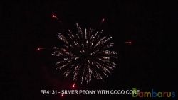 fr4131 SILVER PEONY WITH COCO CORE 4шт | фото №0
