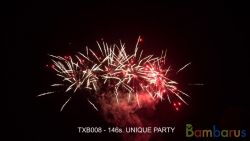 TXB008 UNIQUE PARTY | фото №0