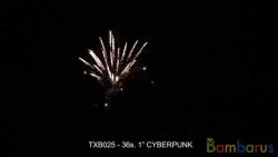 TXB025 CYBERPUNK | фото №0