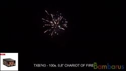 TXB743 CHARIOT OF FIRE | фото №0