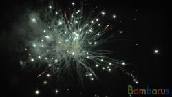 КБ-1005 Султан | фото №0