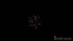 fr3116 (Шар 3") COCO TREE W/GLITTER CORE 3" | фото №0