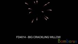 FD4014 BIG CRACKLING WILLOW | фото №0