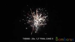 TXB060 FINAL CAKE 5 | фото №0