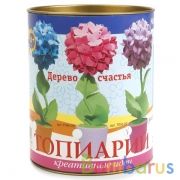 НАБОР ДЛЯ ТВОРЧЕСТВА ТОПИАРИЙ  "ГОРТЕНЗИЯ" в кор.16шт | фото №0