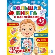 Тело человека. Большая книга с наклейками. 240х330мм,  8 стр. + наклейки. Умка  в кор.50шт | фото №0