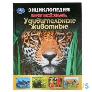 "УМКА". УДИВИТЕЛЬНЫЕ ЖИВОТНЫЕ. ХОЧУ ВСЕ ЗНАТЬ. ЭНЦИКЛОПЕДИЯ А5. 165Х215ММ, 96 СТР. в кор.22шт | фото №0