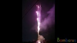 XC3008 roman candles purpurea 0,5" | фото №0