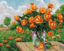 РИСОВАНИЕ ПО НОМЕРАМ НА ХОЛСТЕ, ОГОНЬКИ ЛЕТА, РАЗМЕР 40*50 в кор.22шт | фото №0