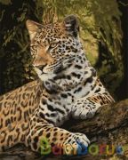 РИСОВАНИЕ ПО НОМЕРАМ НА ХОЛСТЕ, БЛАГОРОДНЫЙ ВЗГЛЯД, РАЗМЕР 40*50 в кор.22шт | фото №0