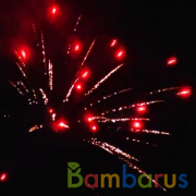 На счастье | фото №0