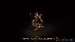 TXB006 Celebryta | фото №0