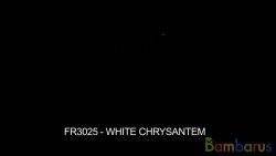 fr3025 (Шар 3") CHRYS to white peony 3" | фото №0