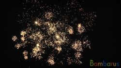 МБ-0251 25 | фото №0