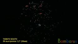 TXB670 SOUTH | фото №0