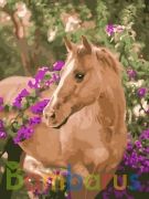 Набор для творчества раскраска по номерам "Лошадка в цветах" в кор.18шт | фото №0