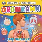 Тело человека (книжка с большими окошками) 190х190мм 10стр Умка в кор.38шт | фото №0