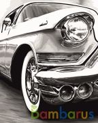 РИСОВАНИЕ ПО НОМЕРАМ НА ХОЛСТЕ, СИЯЮЩИЙ ХРОМ, РАЗМЕР 40*50 в кор.22шт | фото №0